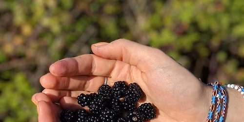 September Foraging Course - Heaton Park, Newcastle