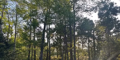 Riverbend ultra Camino