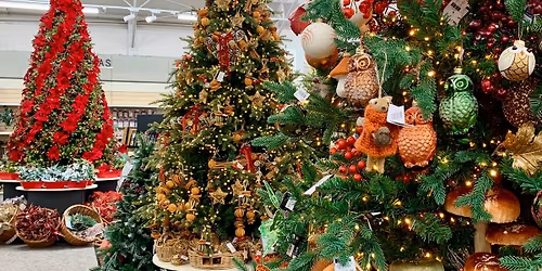 Meet Father Christmas at Haskins Garden Centre Roundstone