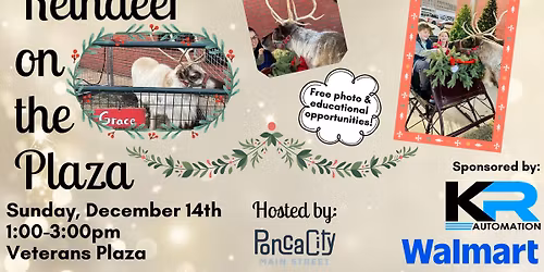 Reindeer on the Plaza sponsored by KR Automation and Walmart
