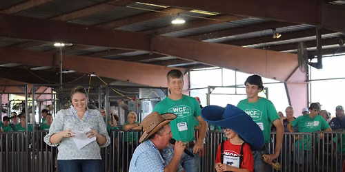Champion Drive: Special Edition Livestock Show