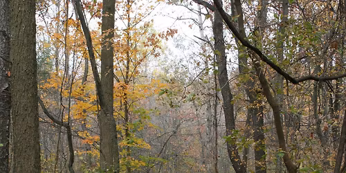 Wonderful Winter Workday \u2013 March 11