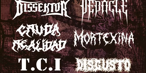 Festival OctaRock XIII