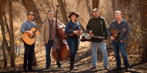 Lucky Pickers at Seman Violins