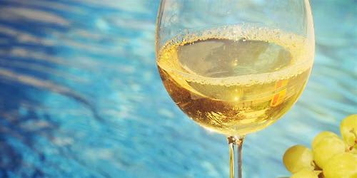 VINcabulary : Summer Whites