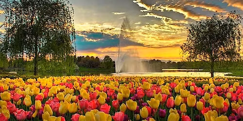 Vet Social Club- Veterans' Walk in the Garden