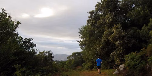 Celtic Thursday Trail - Silvertree Route