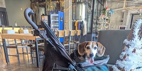 Pets4Life Fundraiser at Trellis