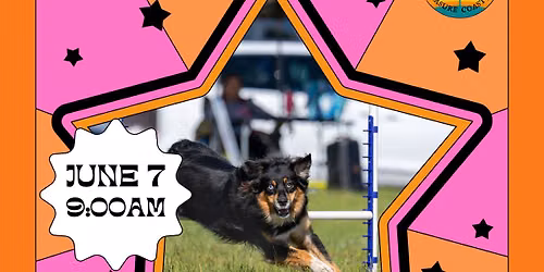 CROSSOVER CROWN 2026 - UPDOG