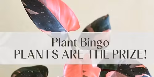 \ud83c\udf3f\u2728 PLANT BINGO