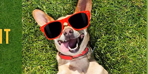 Dog Talent Show