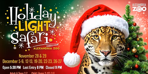 Holiday Light Safari