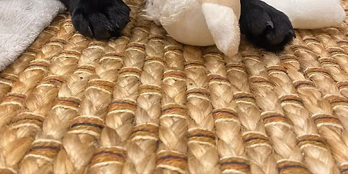 Dog Training for Life Skills January to March 26