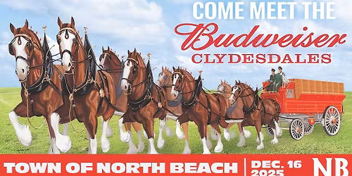 The Clydesdales Are Coming to North Beach!