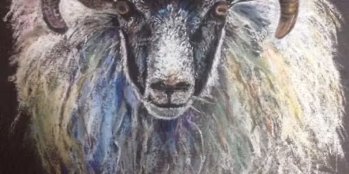 Draw an Animal (any medium) \u00a318 Garstang