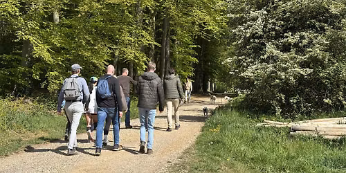 Social & Step Nijmegen met de Walk Club