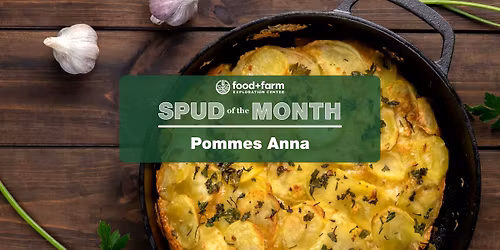Spud of the Month Cooking Club: Pommes Anna | French Potatoes