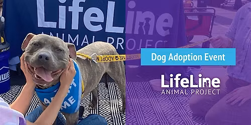 Leashes & Lattes Adoption Event