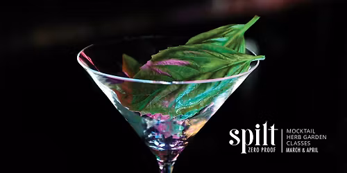 Spilt Spring Series - Fresh Herbs