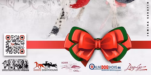 Pointerli X-Mas Trophy 2025