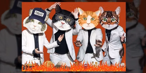 Fantastic Cat