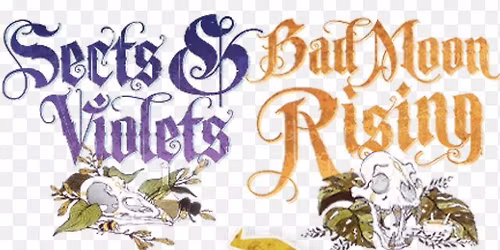 Blood on the Clocktower for experienced players