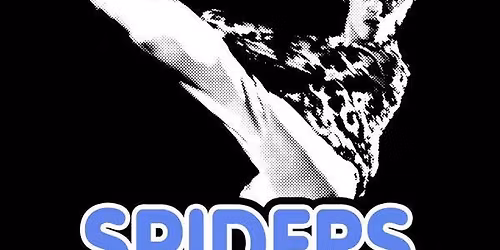 Spiders on Mars - a tribute to David Bowie