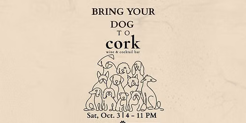 Bring your dog to Cork