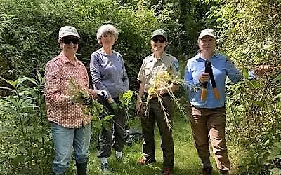 Eco Hero Trail Walk: An Invasive Species Management Project