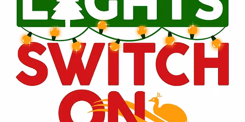 Xmas Light Switch on