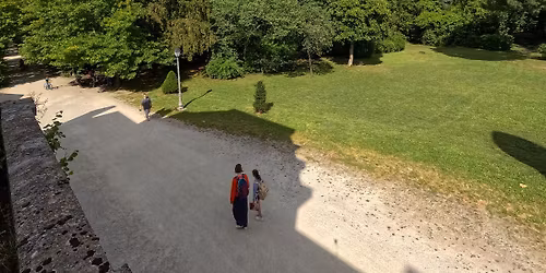 Semaine de l'Arbre : D\u00e9monstration par les \u00e9lagueurs de Bordeaux M\u00e9tropole