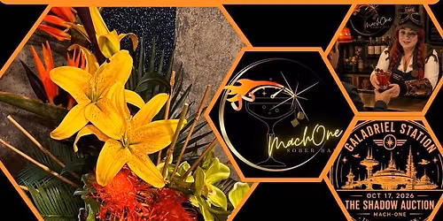 Mach-One Sober Bar presents The Shadow Auction