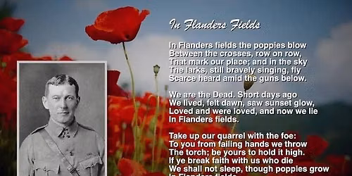 Joint buddy poppy display contest 