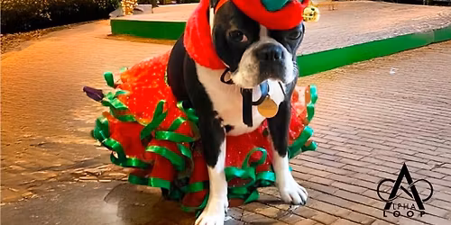 LIGHTS ON THE LOOP - Alpharetta!