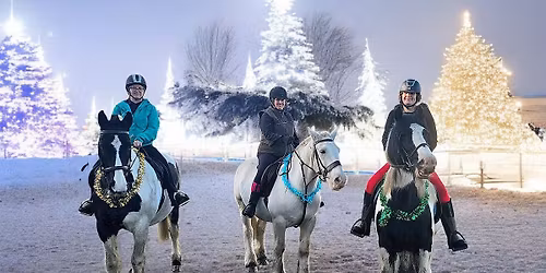 Christmas ride \ud83d\udc0e\ud83c\udf84