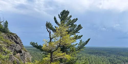 The Middle Live - What's at Stake for You in November at The Music Hall - Portsmouth