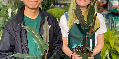 June Plant Swap!!
