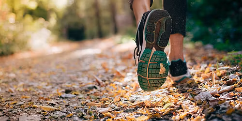 Saturday Morning Wellness Hike in The Woodlands