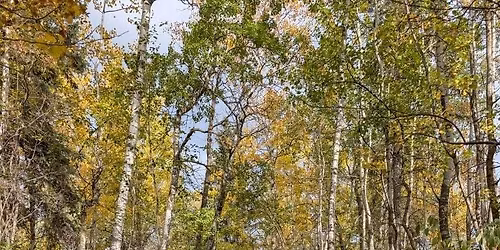 Rainbow Threads Gathering