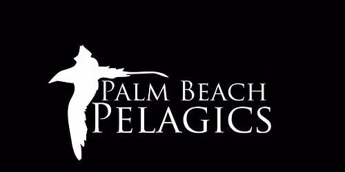 Palm Beach Pelagics Offshore Birding Trip