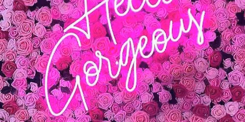 Vendor @ Training Day Market at Retama Park