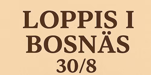Loppis i Bosn\u00e4s