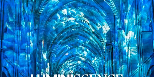 LUMINISCENCE: Sum\u00e9rgete en los secretos de la Bas\u00edlica Santa Maria del Pi