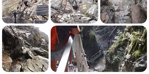  \u03a4\u03ac\u03c4\u03c1\u03b1\u03c2....7 \u03bc\u03ad\u03c1\u03b5\u03c2, 4 \u03bf\u03c1\u03b5\u03b9\u03b2\u03b1\u03c4\u03b9\u03ba\u03ad\u03c2 \u03c3\u03c4\u03b1 \u03c0\u03b9\u03bf \u03cc\u03bc\u03bf\u03c1\u03c6\u03b1 \u03bc\u03ad\u03c1\u03b7 \u03c4\u03b7\u03c2 \u03a0\u03bf\u03bb\u03c9\u03bd\u03af\u03b1\u03c2-\u03a3\u03bb\u03bf\u03b2\u03b1\u03ba\u03af\u03b1\u03c2.