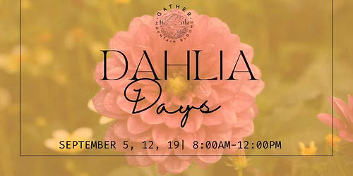 Dahlia Days