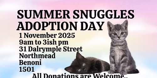 \ud83d\udc08Summer Snuggles Adoption Day\ud83d\udc08\u200d\u2b1b
