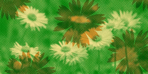 Friends of Perfection