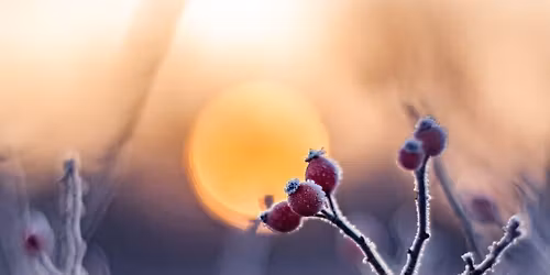 Winter Solstice Celebration