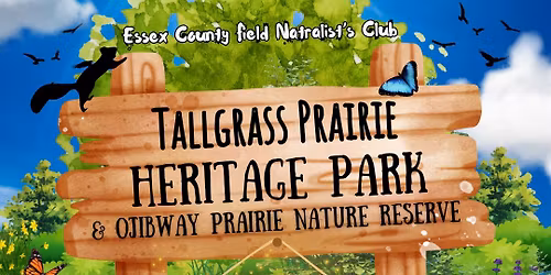 Monthly Walk in Tallgrass Prairie Heritage Park & Ojibway Prairie Provincial Nature Reserve