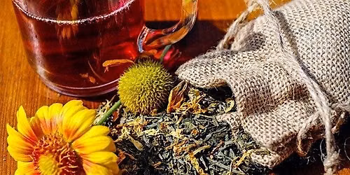 Summer Sips: A Cooling Herbal Mocktail Workshop